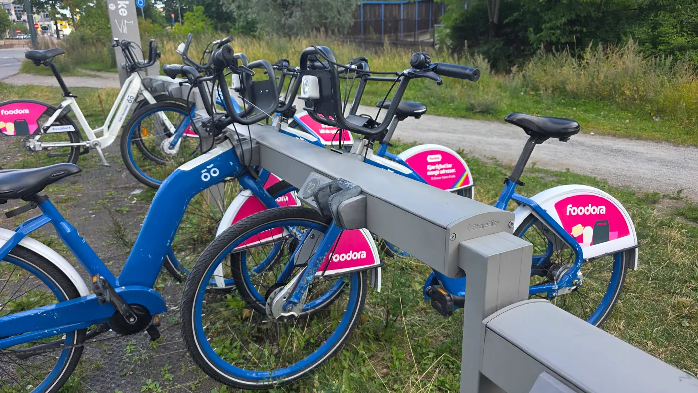 A row of Oslo City Bikes docked at a station &mdash; blue frames with pink foodora mudguards, parked on grass beside a cycle path